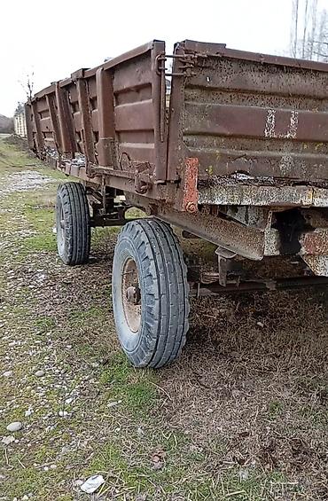 Lapetlər: SƏNƏDİ YOXDU — 3