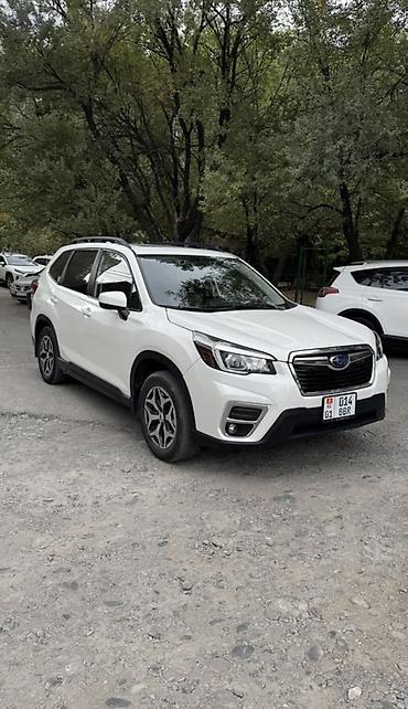 Subaru: Subaru Forester: 2019 г., 2.5 л, Вариатор, Бензин, Кроссовер — 3