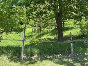 Torpaq sahələrinin satışı: 20 sot, Mülkiyyətçi, Müqavilə — 8