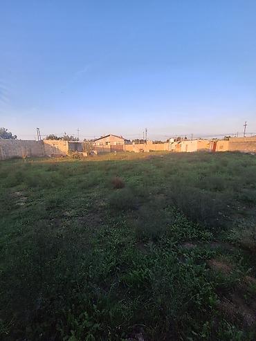 stansiya qala: 14 sot Kənd təsərrüfatı, İşıq — 4