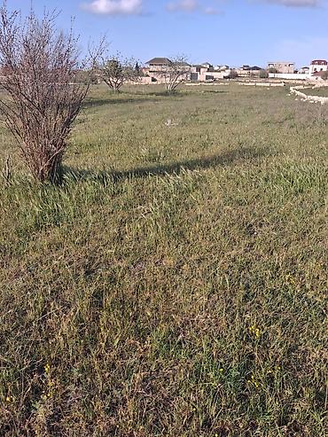 nardaranda torpaq: 12 sot, Tikinti, Mülkiyyətçi, Kupça (Çıxarış) — 1