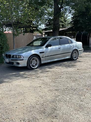 teker 215: BMW 5 Series (E39) sedan - Korpus: 4 qapılı sedan, gümüşü/boz rəng - — 2