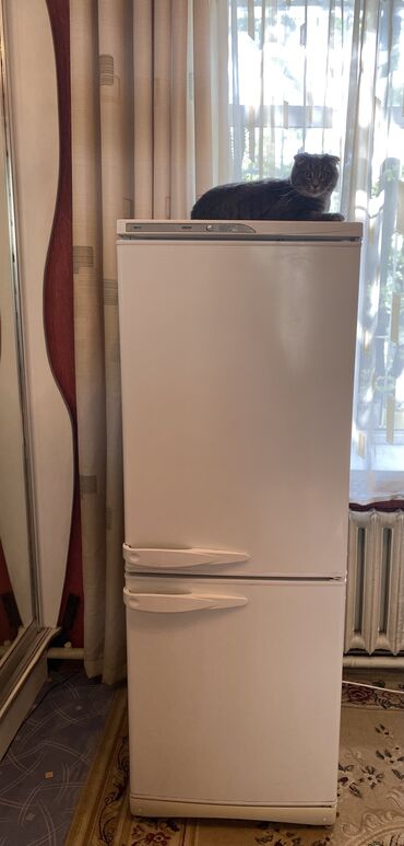 стинол: Холодильник Stinol, Б/у, Двухкамерный, No frost, 60 * 170 * 60