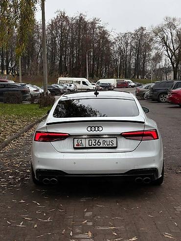 стейдж: Audi A5: 2019 г., Лифтбек — 3