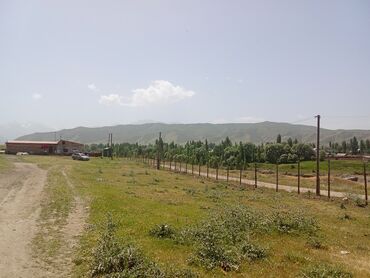 Продажа участков: 120 соток, Для сельского хозяйства, Красная книга — 6