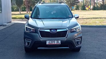 субару красовер: Subaru Forester: 2019 г., 2.5 л, Вариатор, Бензин, Кроссовер