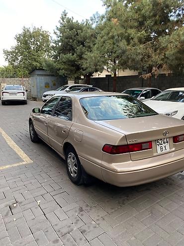 corolla s: Toyota Camry: 1999 г., 2.2 л, Автомат, Бензин, Седан — 4