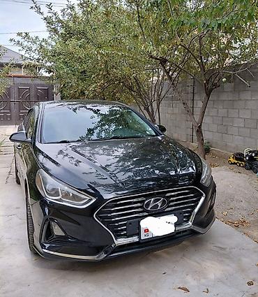 android avto: Hyundai Sonata: 2019 г., 2.4 л, Автомат, Бензин, Седан — 1