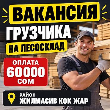 Хвоя at lalafo.kg Хвоя
