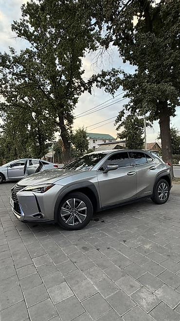 lexus ux250h: Lexus UX: 2020 г., Электромобиль, Кроссовер — 2