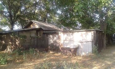 кызыл ата: Продаю ДОМ участок 36 соток и 18 соток, ширина 42 м. длина 78 м — 2