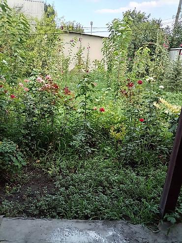 Продажа коттеджей и домов: Продаю дом,5 комнат,+ кухня+ванная комната с туалетом в доме, 2 — 26