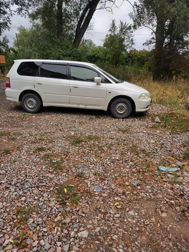 старый одиссей: Honda Odyssey: 2001 г., 2.3 л, Автомат, Бензин, Вэн/Минивэн