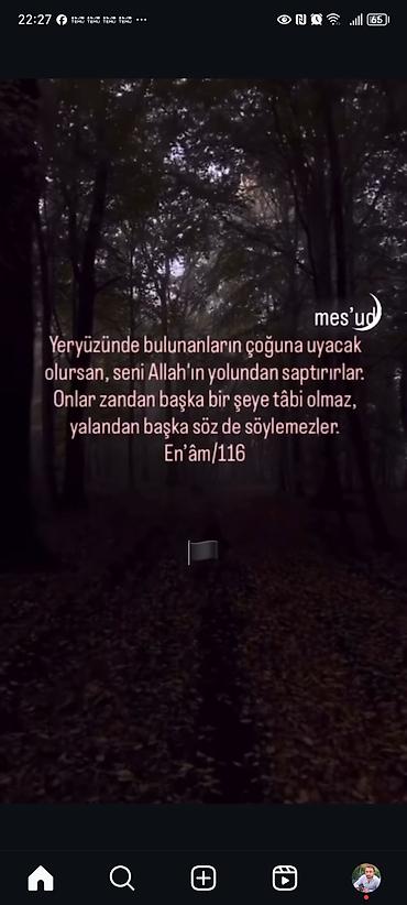 inək balalı: Balaca qaz cücəleri və ördək balasi - Cins: qaz (sarı-ağ lələklər — 7