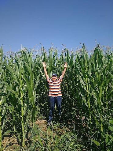 Удобрения и садовая химия: Удобрение Самовывоз — 12