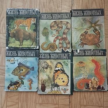 Книги научно-познавательные, в шести томах. размер 21×27см. около