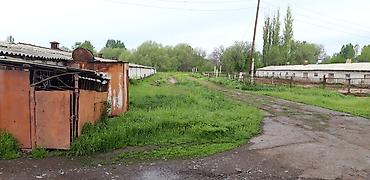 Кыймылсыз мүлк: Мүйүздүү бодо мал фермасы, 75 соток, Канализация, Скважина — 8