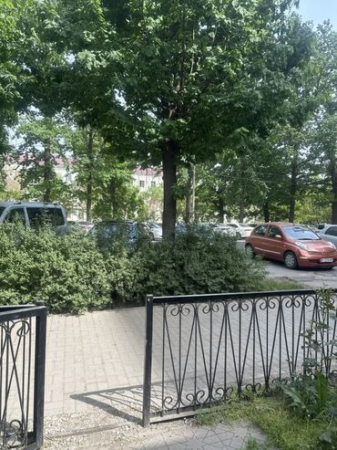 помещение в сокулуке: Помещение под коммерческую аренду с отдельным входом. Включает