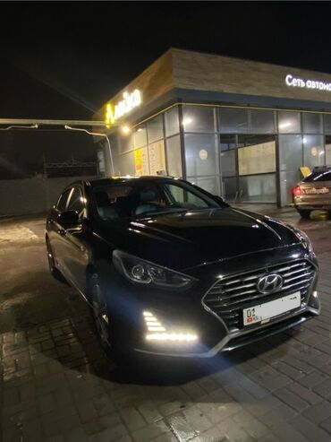 соната нф: Hyundai Sonata: 2017 г., 2 л, Автомат, Газ, Седан