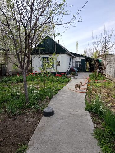 Продажа домов: Дом, 40 м², 2 комнаты, Собственник