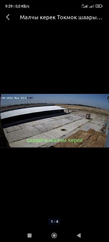 Сарайга жакшы малчы керек сарай баадык шарты бар. Айлык акысы келишим