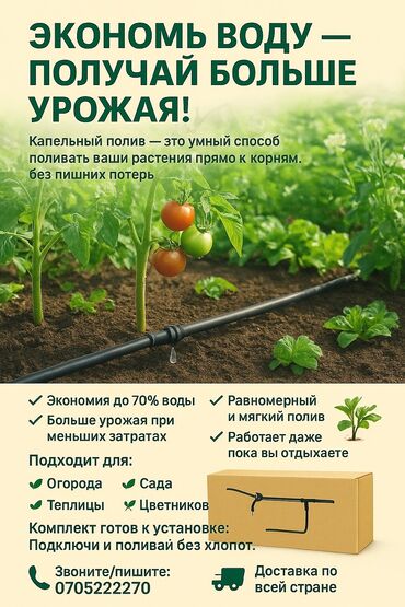 фильтр для капельного полива на 50 трубу: Эффективная система капельного полива для точного орошения растений