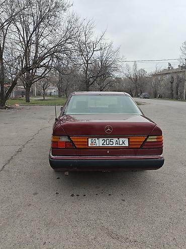 Mercedes-Benz: Mercedes-Benz E-Class: 1992 г., Седан — 7