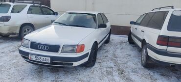 Audi: Audi 100: 1991 г., 2 л, Механика, Газ, Седан