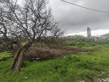 torpaq mingecevir: 10 sot, Tikinti, Mülkiyyətçi, Kupça (Çıxarış) — 7