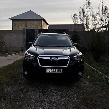 4wd 20132020: Subaru Forester: 2020 г., Кроссовер — 2