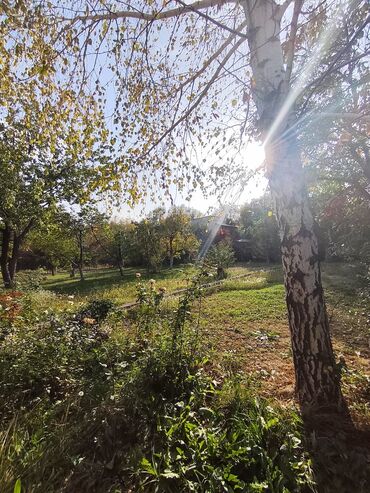 Продажа домов: Дача, 32 м², 2 комнаты, Собственник — 12