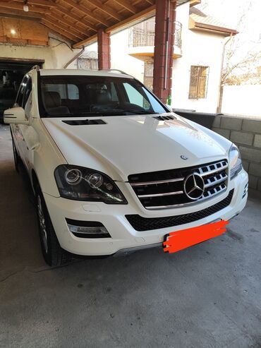 мерс зайчик: Mercedes-Benz M-Class: 2011 г., 3.5 л, Автомат, Бензин, Кроссовер