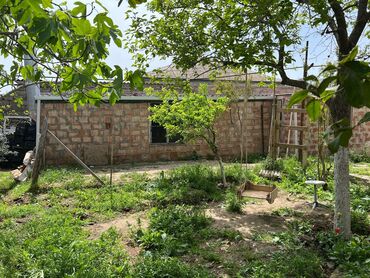 Həyət evləri və villaların satışı: Zığ qəs. 4 otaqlı, 115 kv. m, Kredit yoxdur, Yeni təmirli — 17