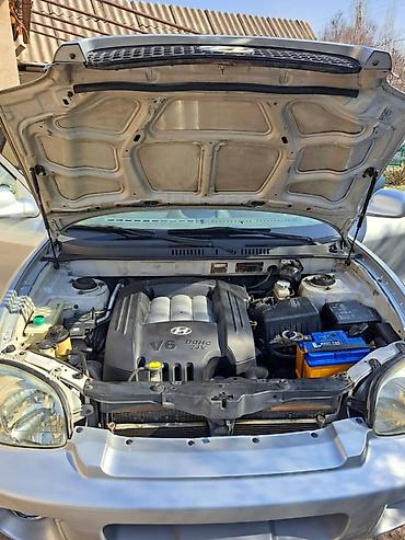 Hyundai: Hyundai Santa Fe: 2002 г., 2.7 л, Автомат, Бензин, Кроссовер — 13