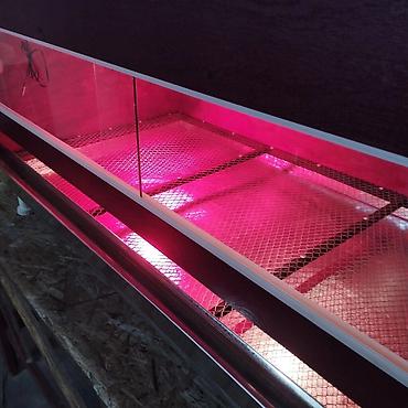 Товары и оборудование для с/х животных: Продаю брудер для выращивания цыплят полный комплект сделан из фанеры — 14