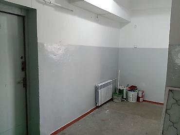 Покраска: Покраска стен, Покраска потолков, Покраска окон, На масляной основе, На водной основе, Больше 6 лет опыта — 3