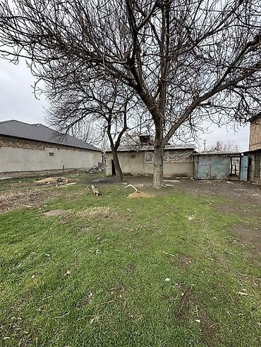 Продажа коттеджей и домов: 📍В Сокулуке от трассы 900 метров продаётся дом на участке 4 сотки — 3