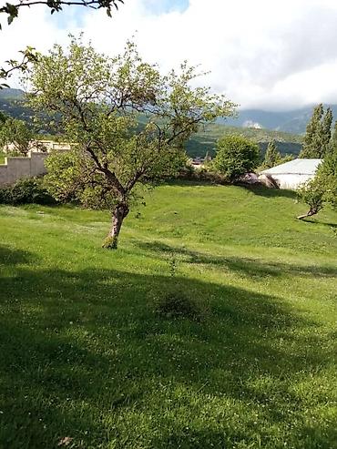 saatlı rayonu: 60 sot, Tikinti, Mülkiyyətçi, Kupça (Çıxarış) — 5