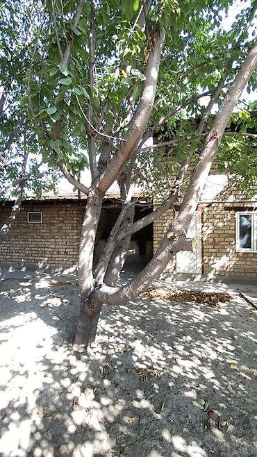 Продажа коттеджей и домов: 6 комнат и более, 114 м², 5 соток, Селекционное, Собственник — 26