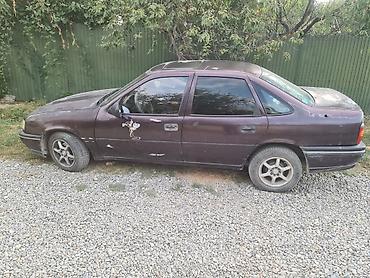 Vauxhall: Opel Vectra: 1993 г., 1.8 л, Механика, Бензин, Седан at lalafo.kg — 3 Vauxhall: Opel Vectra: 1993 г., 1.8 л, Механика, Бензин, Седан — 3