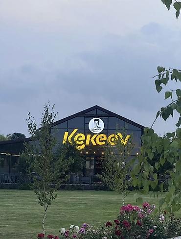 Продажа коттеджей и домов: Продается коттедж в селе Чок-Тал Palm Beach с обустроенным участком и — 34