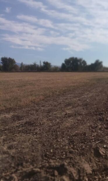 Продажа участков: 75 соток