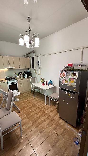 60 м², 2 комнаты, ул. Матросова, Можно с животными