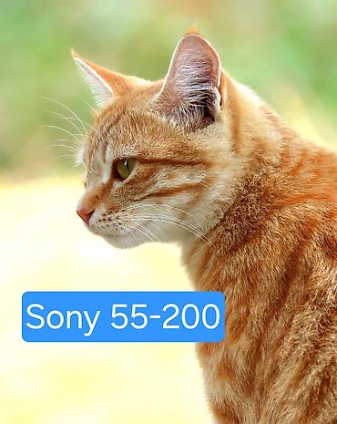 Fotokameralar: SONY SÜPER SET. Sony A58 + — 16