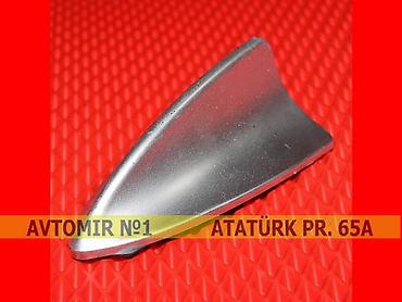 balis uzu: Dekorativ antenna boz 🚙🚒 Ünvana və Bölgələrə ödənişli çatdırılma — 1