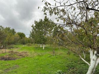 Bağ evlərinin satışı: Xaçmaz, 120 kv. m, 5 otaqlı, Hovuzsuz, Artezian quyusu, İnternet, Telefon — 16