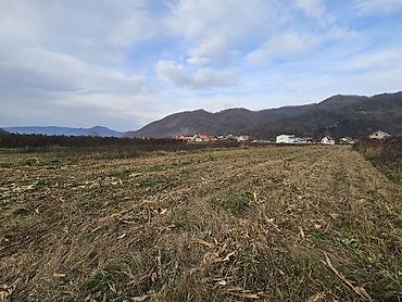 izdavanje kuca: Plac u Lonjinu od 32 ara, opstina Ljubovija, poljoprivredno zemljiste — 5