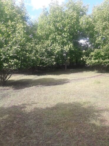 Torpaq sahələrinin satışı: 20 sot, Tikinti, Mülkiyyətçi, Kupça (Çıxarış), Müqavilə — 5