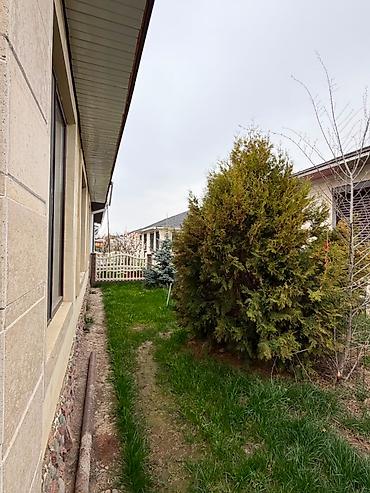 гостевая: Гостевой дом на Иссык-Куле, Diamond Resort, Бостери — 2