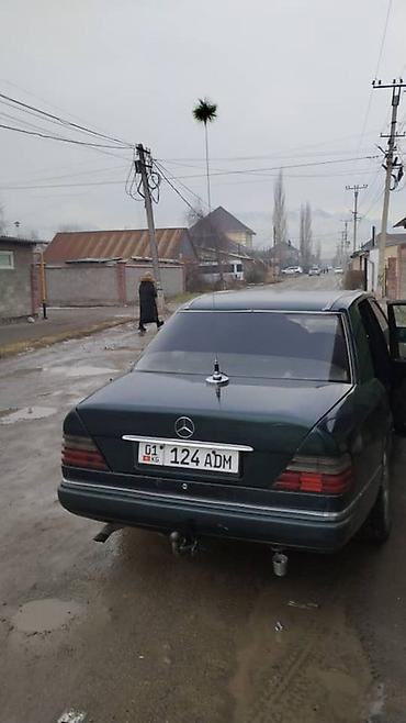 монинг: Mercedes-Benz W124: 1995 г., 2.9 л, Механика, Дизель, Седан — 6